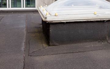 disadvantages of Willow Holme flat roofs